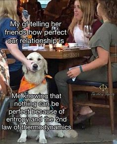 two women sitting at a table with a dog in front of them and the caption reads, my girlfriend her friends how perfect our relationss