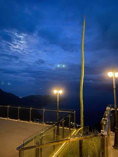 a tall palm tree sitting on top of a metal handrail next to street lights