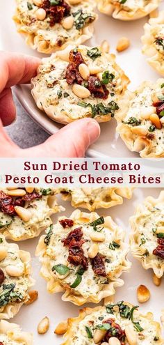 sun dried tomato pesto goat cheese bites with spinach and sun dried tomatoes on top