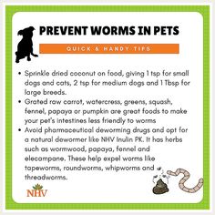 a poster with instructions on how to prevent worms in pets and their health benefits for dogs