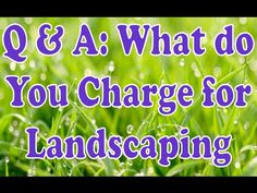 grass with the words q & a what do you charge for landscaping?