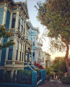 the houses are painted in different colors and styles, along with trees on both sides