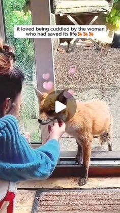 a woman is petting a small dog outside the window with her thumb in it's mouth