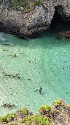 the water is so clear that it appears to be crystal blue and has small fish swimming in it