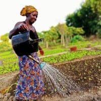 a woman is watering her garden with a bucket on her head and hose in the other hand