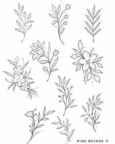 some flowers and leaves are drawn in black ink on white paper, with the words pink becker above them