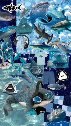 a collage of different types of sharks and dolphins in blue water with stars, clouds, and checkers