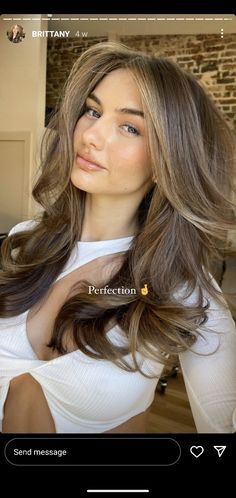 Honey Blonde Hair, Brown Hair Balayage, Hair Affair, Hair Color And Cut, Hair Inspiration Color