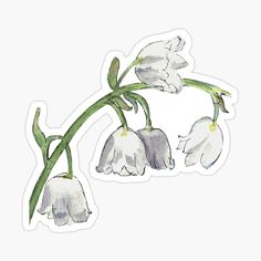 white flowers with green stems sticker