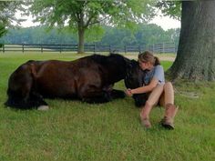 a woman kneeling down next to a brown horse on top of a lush green field