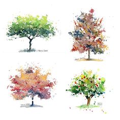 four watercolor trees with different colors