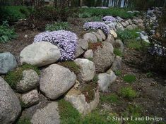 a rock wall with purple flowers growing out of it