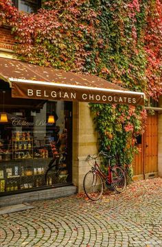 a bicycle parked in front of a building with ivy growing on the side of it