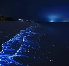 the water is glowing blue at night on the beach