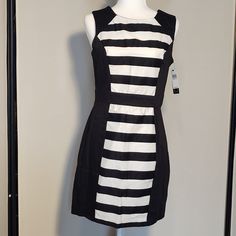 New! A. Byer Fitted Dress - Juniors Sz. 9 . Measures 18" From Armpit To Armpit And 34" In Length From Shoulder. 97% Cotton, 3% Spandex. Fitted Black And White Casual Dress, Casual Fitted Black And White Dress, Black And White Mini Dress For Spring Workwear, Black And White Mini Dress For Work In Spring, Black And White Dress For Summer Workwear, Black And White Summer Workwear Dress, Black And White Summer Work Dress, Track Poses, Junior Dresses