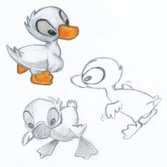 three drawings of different types of ducks