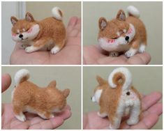 four pictures of a small stuffed dog