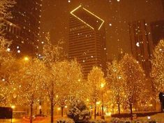 Christmas In Chicago, Winter In Chicago, Chicago Christmas, Chicago Aesthetic, I'm Leaving, Christmas In The City, My Kind Of Town, Chicago City, Art Winter