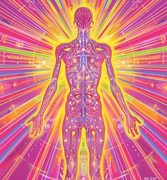 the human body is surrounded by colorful lines and bright colors, as well as an image of