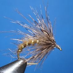 a close up of a dry fly on a person's finger with blue sky in the background