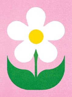 a white flower on a pink background with green leaves and yellow center in the middle