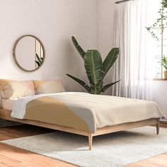 a bed sitting in a bedroom next to a window with a plant on top of it