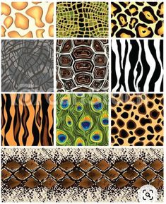 different animal print patterns in various colors