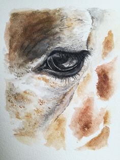 an eye is shown in this watercolor painting