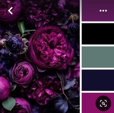 the color scheme is purple and black with flowers on it, as well as an image of