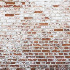 Red & White Brick Wall - HSD Photography Backdrops Brick Wall Photography, Fall Photo Props, Background Artwork, Photo Backdrop Christmas, White Brick Wall, Rustic Photography, Red Brick Wall, Winter Backdrops, Rainbow Photography