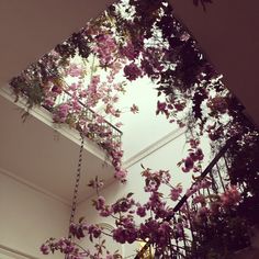 purple flowers growing on the side of a white wall next to a stair case in a building