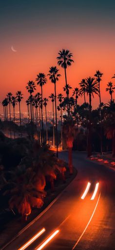 the sun is setting over palm trees and street lights