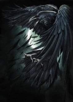 a black bird with its wings spread out in the dark