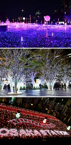 Christmas lights in Japan. Japan Train, Celebrating Christmas, Travel Asia, About Christmas, Minimal Logo, Asia Travel, Japan Travel