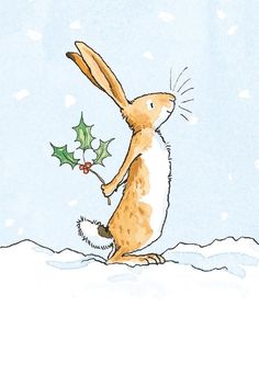 a brown and white rabbit standing on its hind legs in the snow holding a holly berry