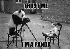 a little boy sitting in a chair next to a panda bear on a tripod