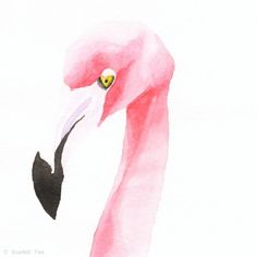 a watercolor painting of a pink flamingo with a black spot in it's eye