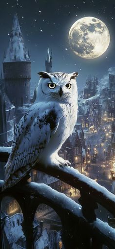 an owl sitting on top of a fence in front of a full moon and castle