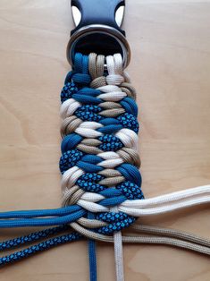 a horse's bridle with blue and white braiding attached to it