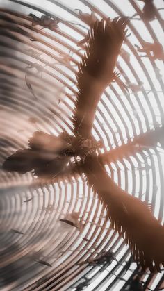 an abstract photo of the inside of a fan