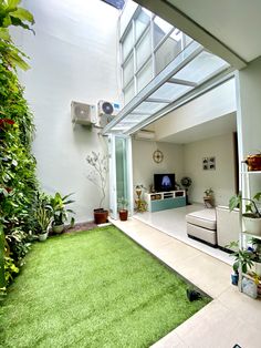 an outdoor living room with green grass and plants