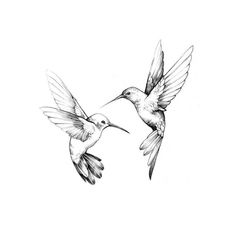 two birds flying next to each other in the air