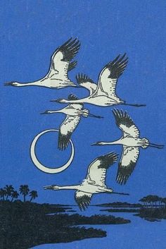 three white birds flying in the blue sky