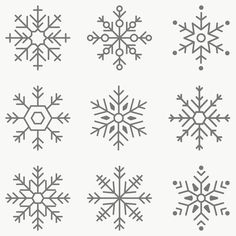 six snowflakes are shown in different styles and sizes, all on white background