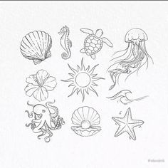 an ink drawing of sea animals and seashells