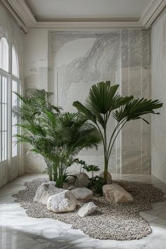 there is a plant in the middle of some rocks and gravel on the floor next to a window