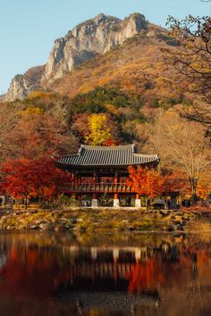 a small building sitting on top of a lush green hillside next to a body of water