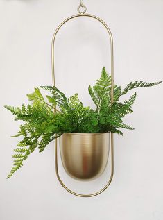 a potted plant hanging from the side of a white wall with a metal frame