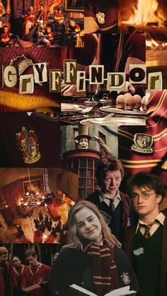 harry potter collage with hogwart's houses, sly and hermi