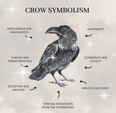 the crow is labeled in several different languages and features its own name, crown symbolism